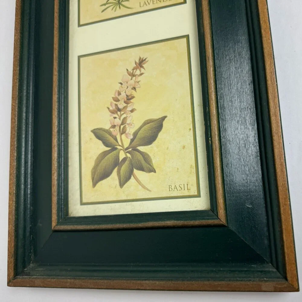 Vintage Country Style Picture Featuring Herbs Wall Decor Set of 2 Botanical ART